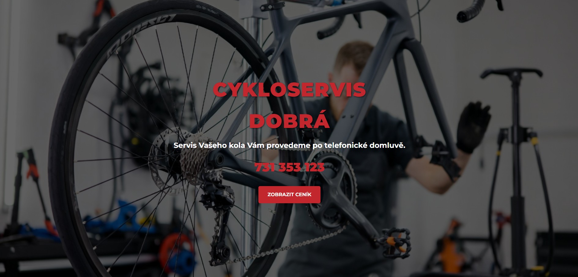 Cykloservis